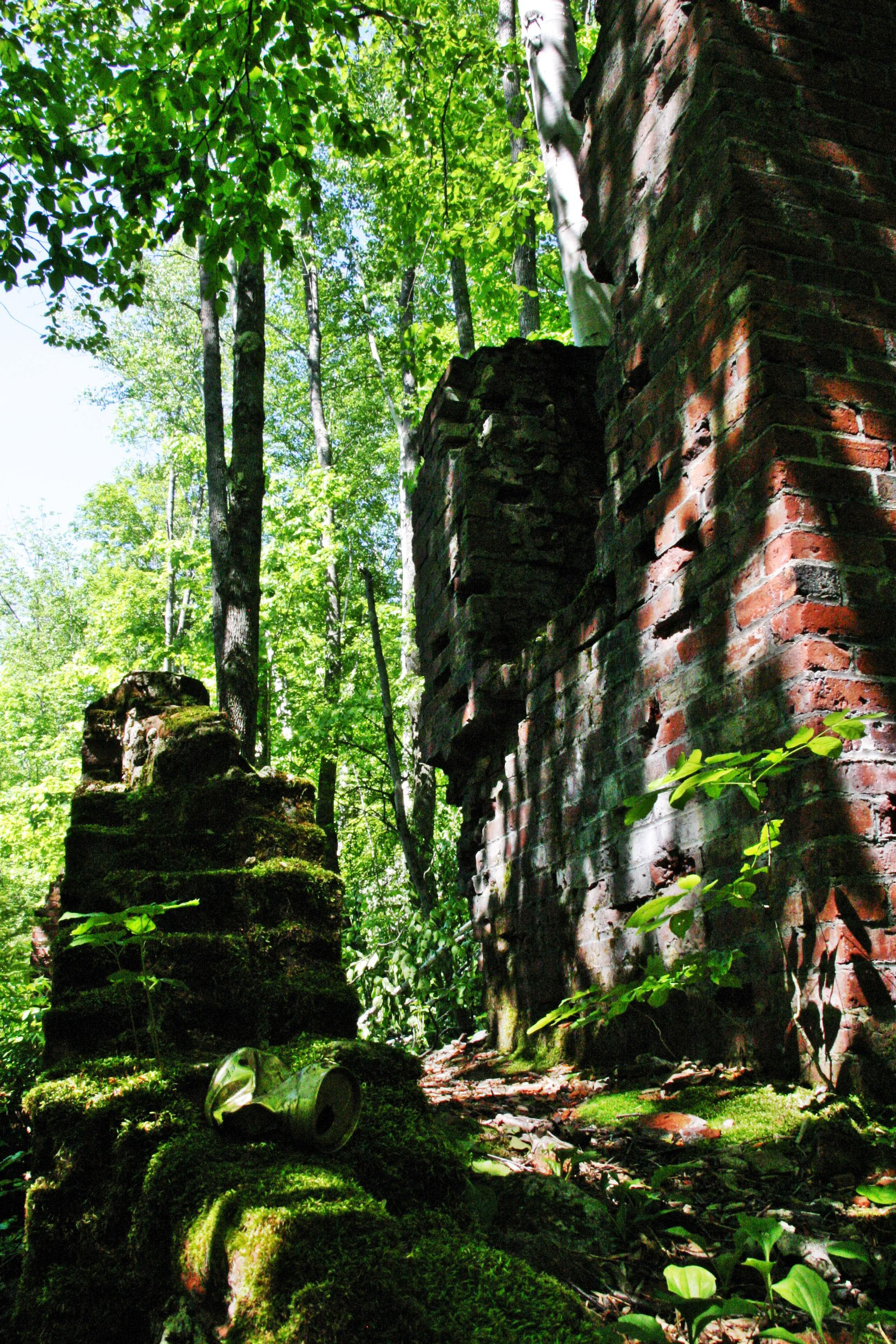Livermore Powerhouse ruins. Source: NHPR power2